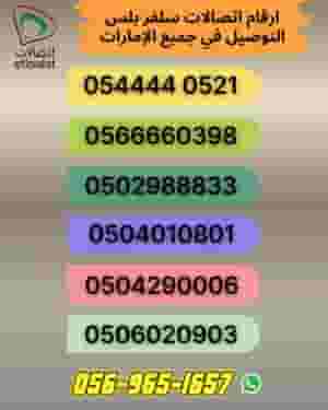 Exclusive luxury call numbers 