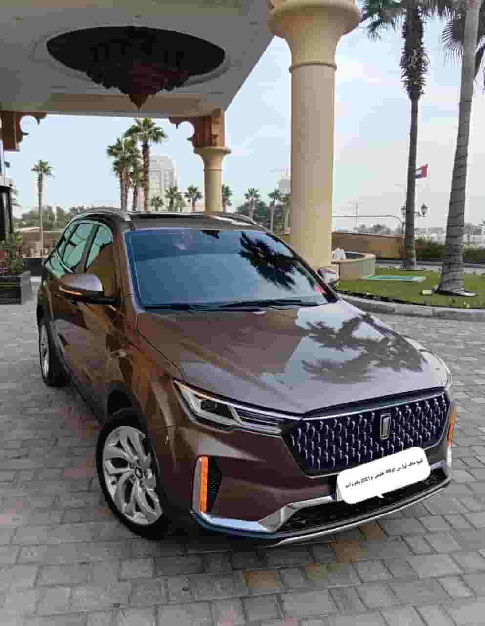 بيستون T33 2021