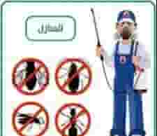 Pest control company in Ajman