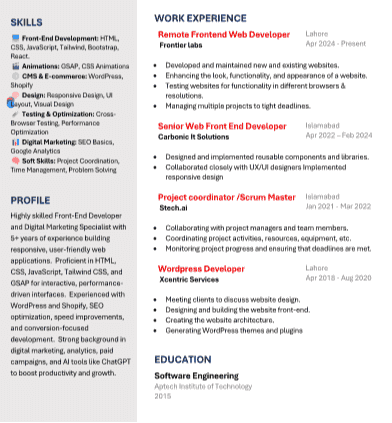 Web interface developer  