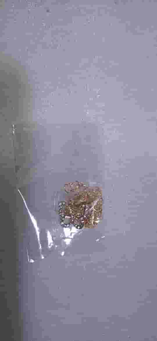 مجوهرات نسائية  