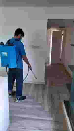 مكافحة حشرات في أبوظبي