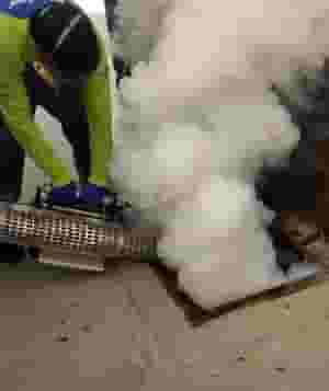 مكافحة حشرات في أبو ظبي