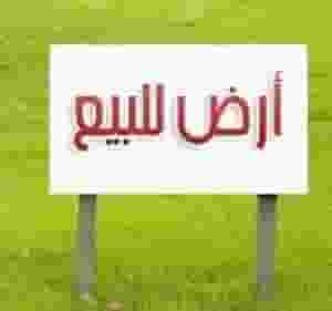 Residential land for sale in Sharjah located in Al Hoshi area 
