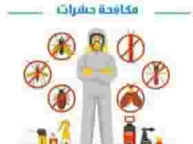 Pest control company in Ras Al Khaimah