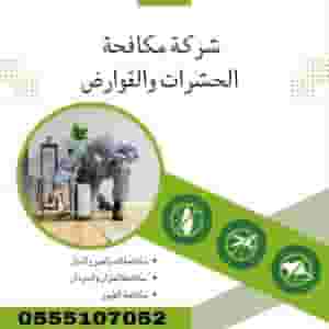 شركة مكافحة حشرات في دبي