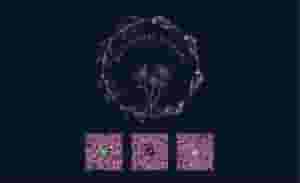 محل الورد مستر فلورست