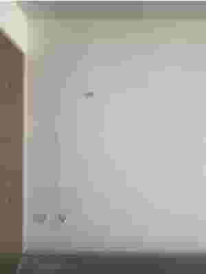 أعمال الطلاء