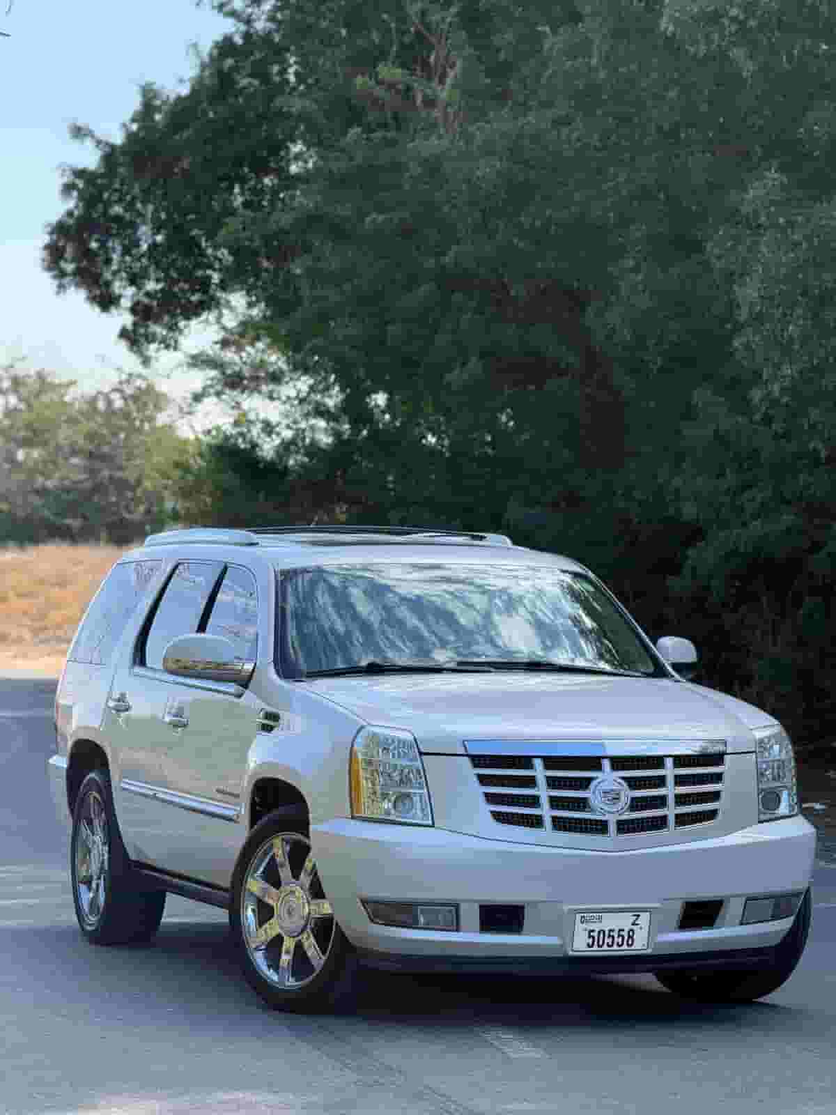 2013 Cadillac Escalade Liberty