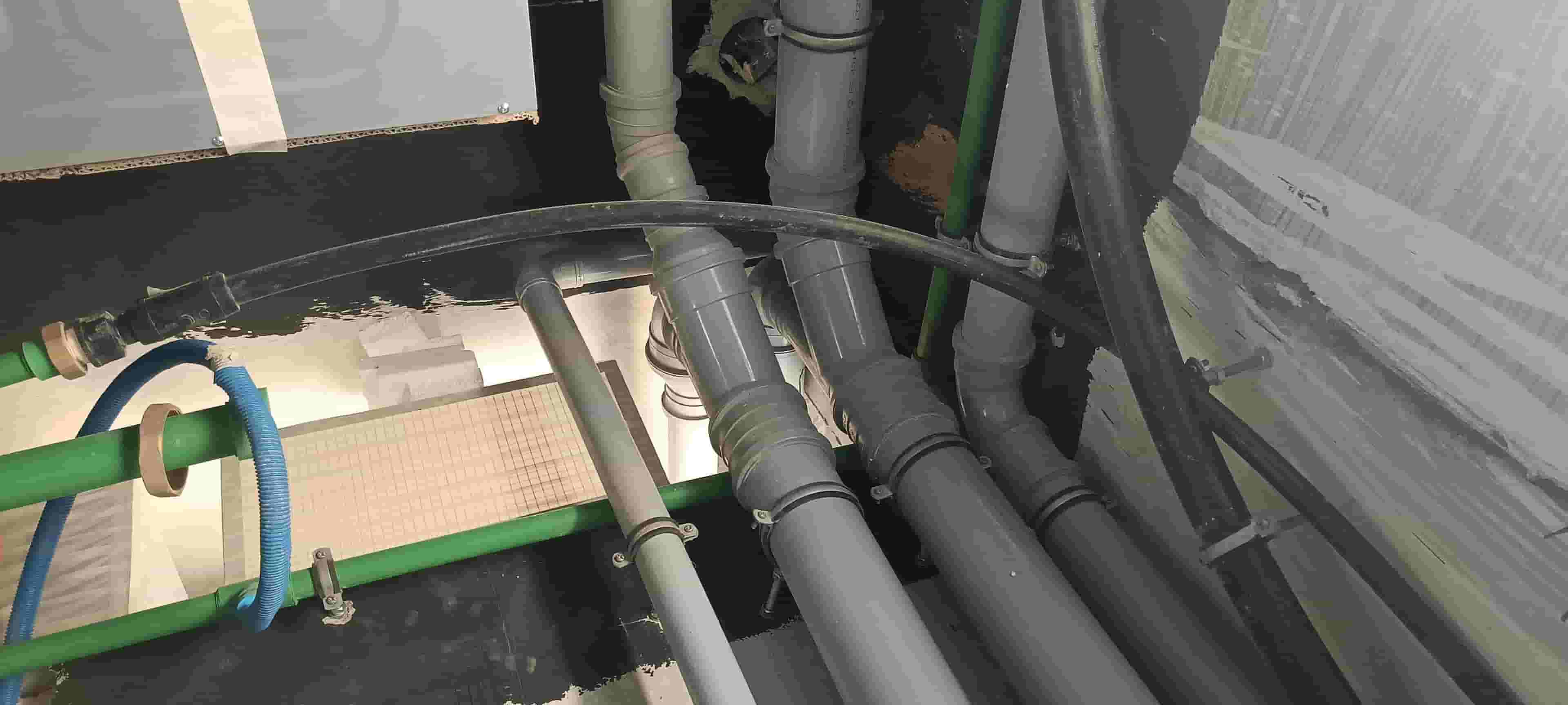 Health technician in Musaffah