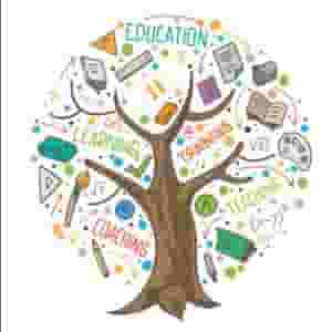 Experienced private teacher