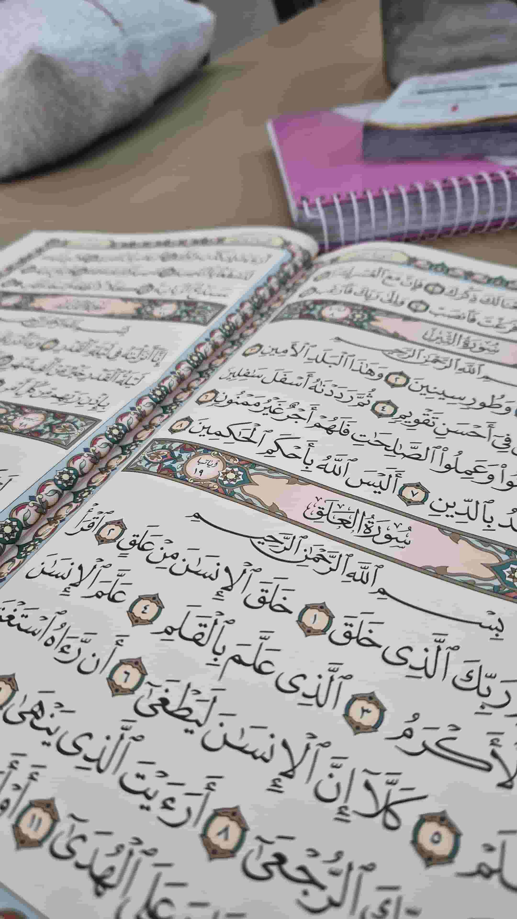 Your child's journey towards excellence starts here! 