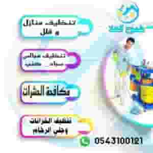 شركه مكافحه الحشرات والتعقيم