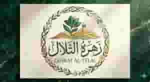 Zahrat Al-Tilal for pest and rodent control and the installation of pigeon repellent 

Zahrat Al-Tilal for pest and rodent control and the installation of pigeon repellent