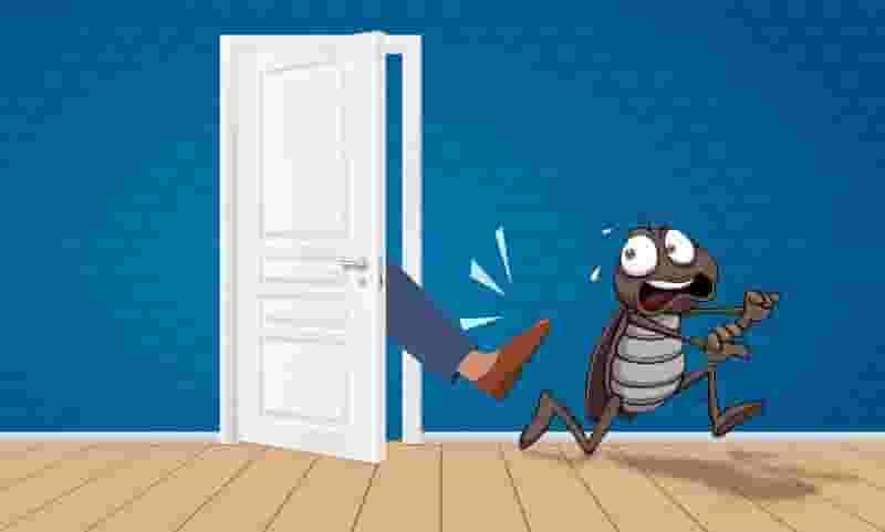 The best guaranteed pest control company