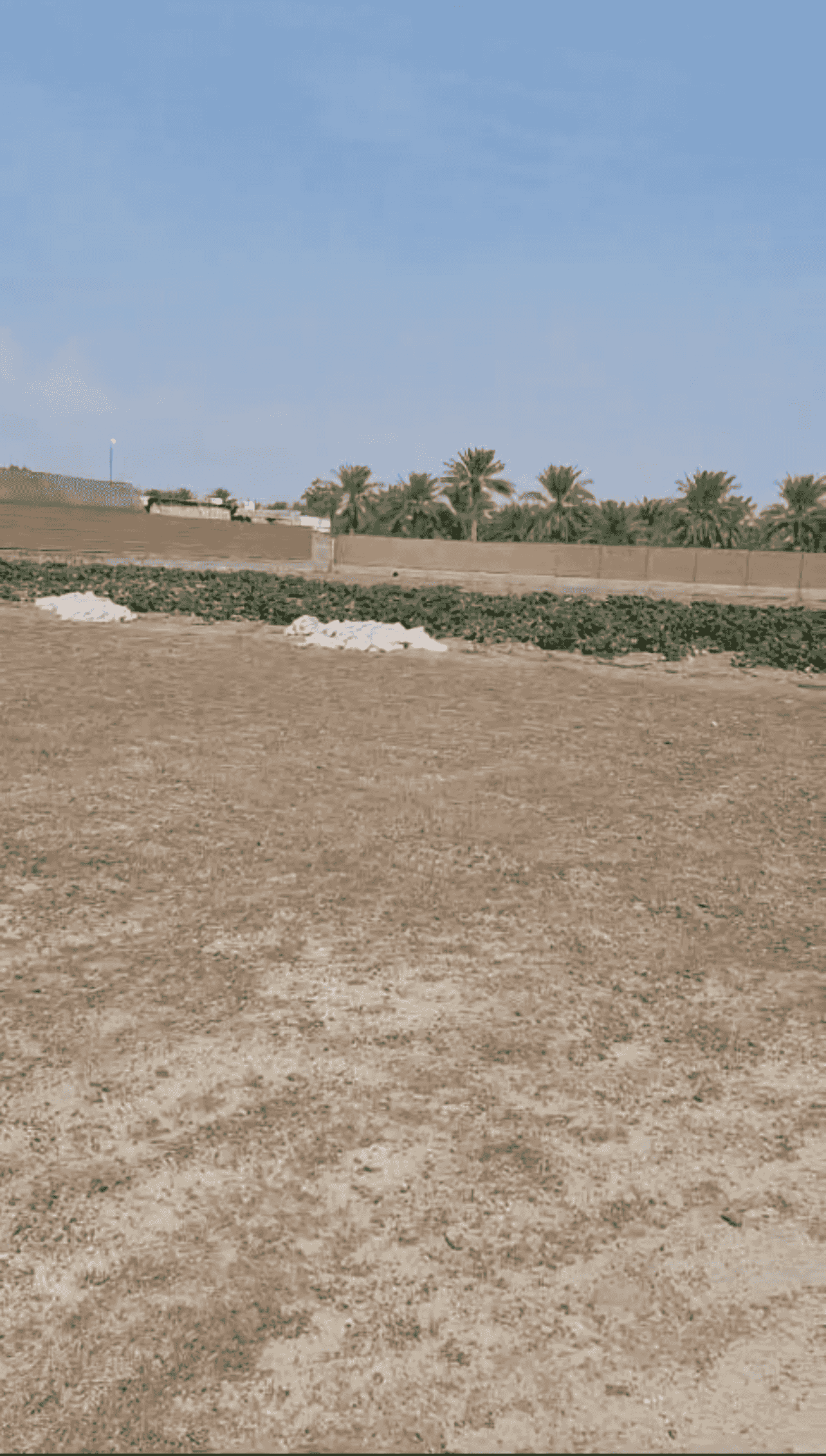 Farm for sale in Alshash