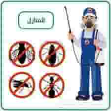 Pest control company in Ajman