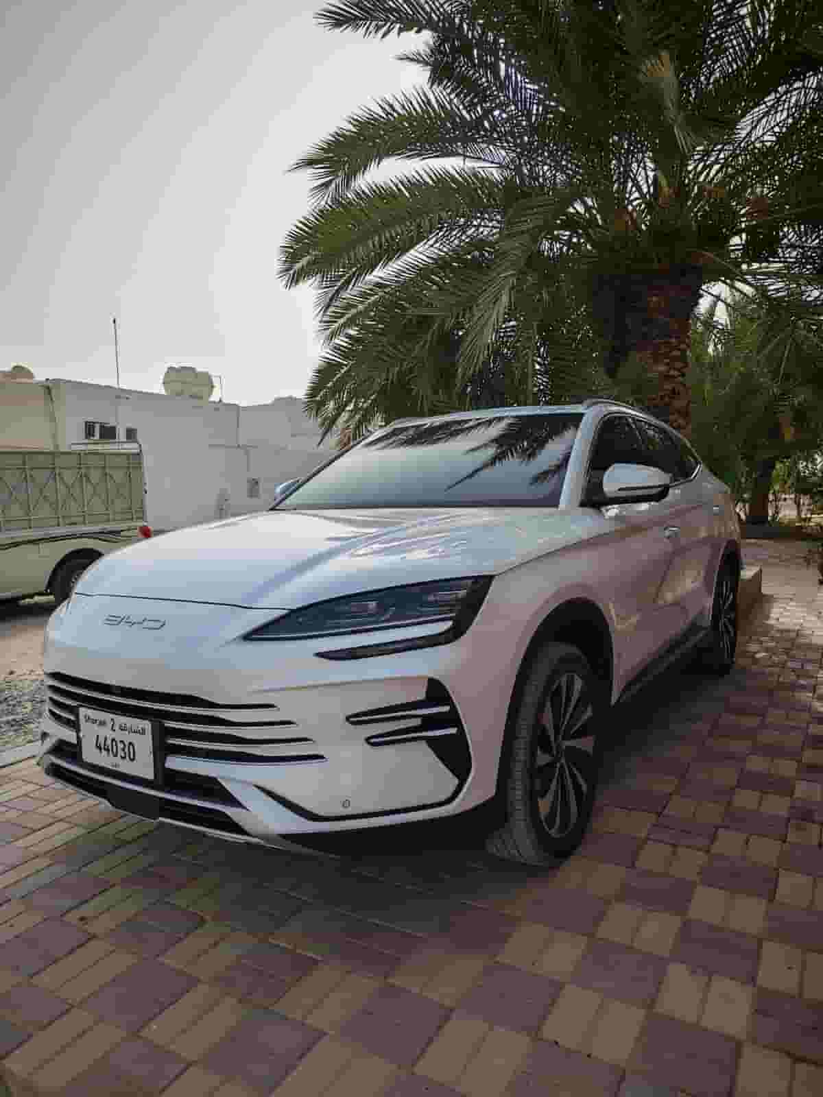 بي واي دي سونج بلس 2026