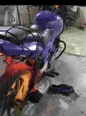 POLYESER BIKE