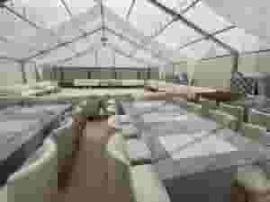 Creative star tents for events
