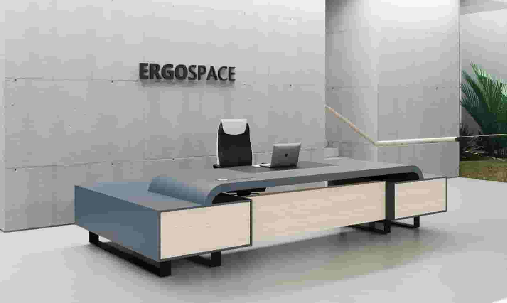 Color L Shape CEO Executive Desk With Double Side Cabinet