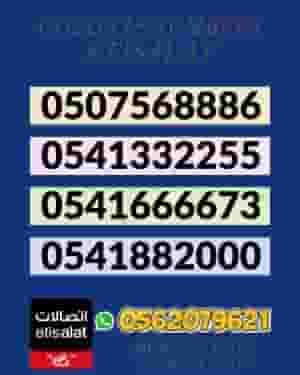 055 Distinctive Number UAE | Fancy & Golden