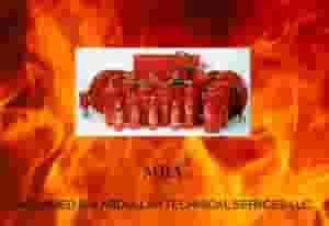 A mechanical or electrical engineer is required