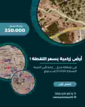 Agricultural land for sale at the price of a shot