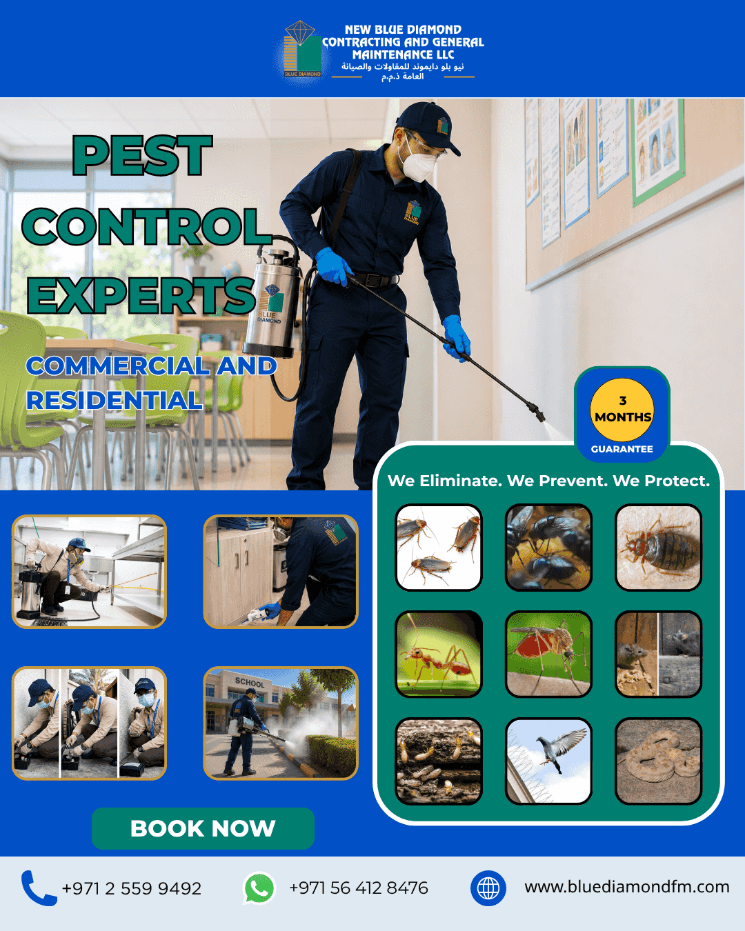 🐜 PROFESSIONAL PEST CONTROL IN ABU DHABI 🪳