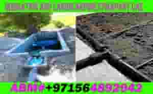 Garden Trees Water Chillers Dubai Ajman Sharjah