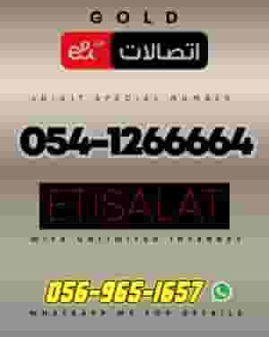 Platinum VIP Numbers UAE | Rare & Fancy Selections