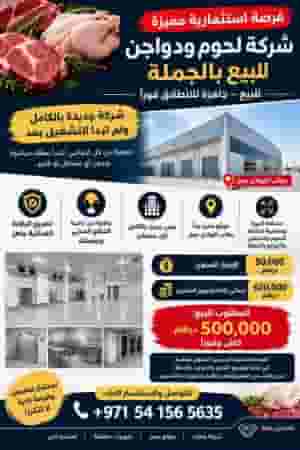 شركه لحوم ودواجن للبيع بالجمله