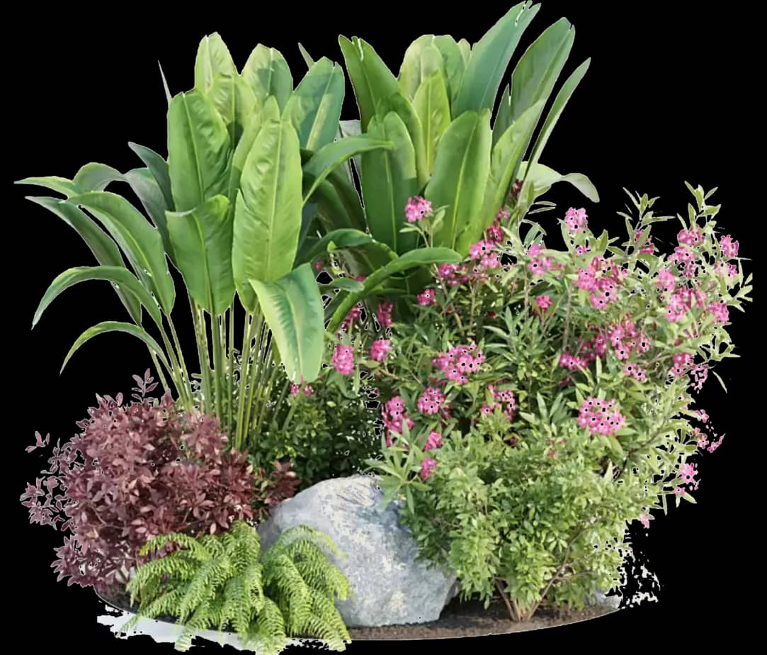 Garden & Outdoor