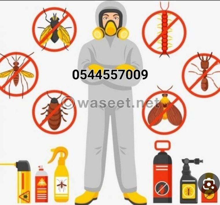 Combating ants, cockroaches, rodents and all kinds of pests  0