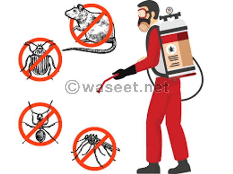 Pest control company in Al Ain  0