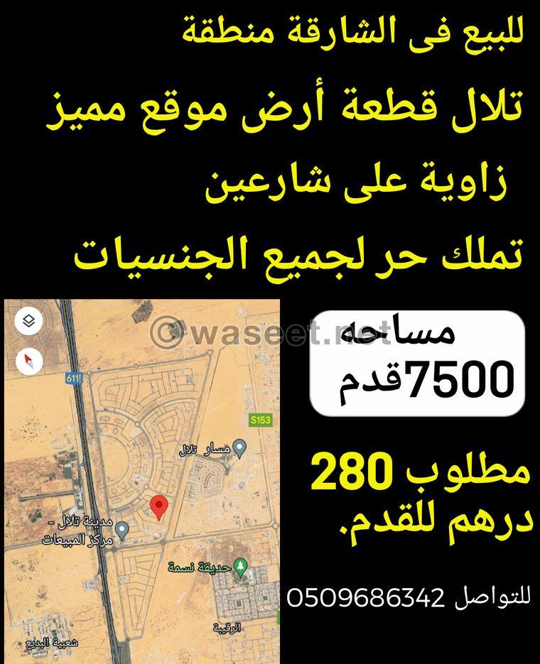 Land for sale in Tilal is freehold for all nationalities  0