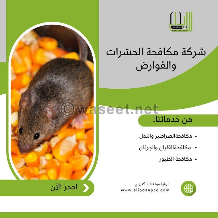 Innovation Pest Control and Cleaning Services  1