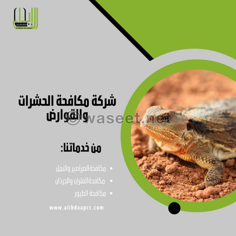 Innovation Pest Control and Cleaning Services  3