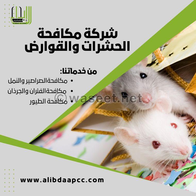 Innovation Pest Control and Cleaning Services  6