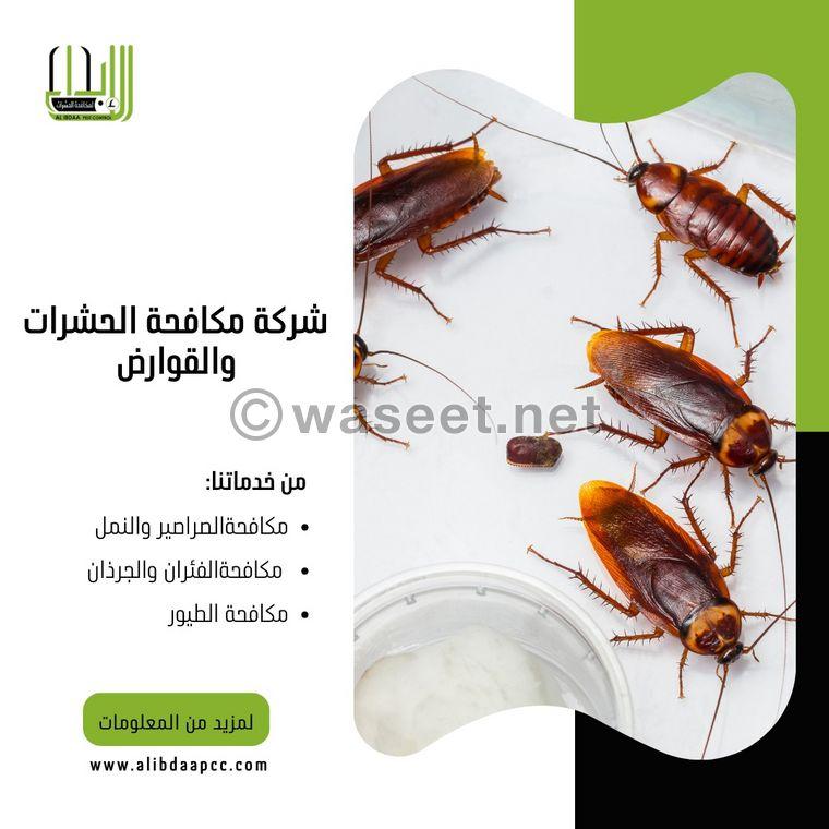 Innovation Pest Control and Cleaning Services  8