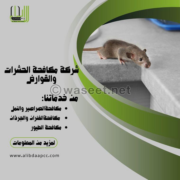 Innovation Pest Control and Cleaning Services  9