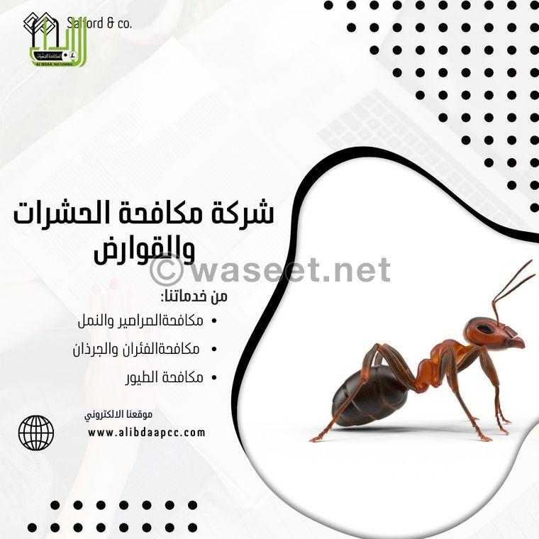 Innovation Pest Control and Cleaning Services  10