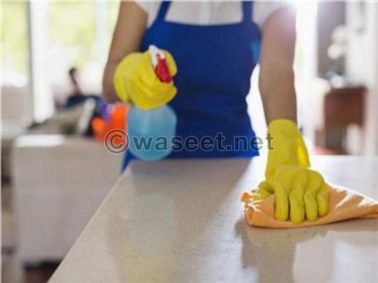The best cleaning services 0