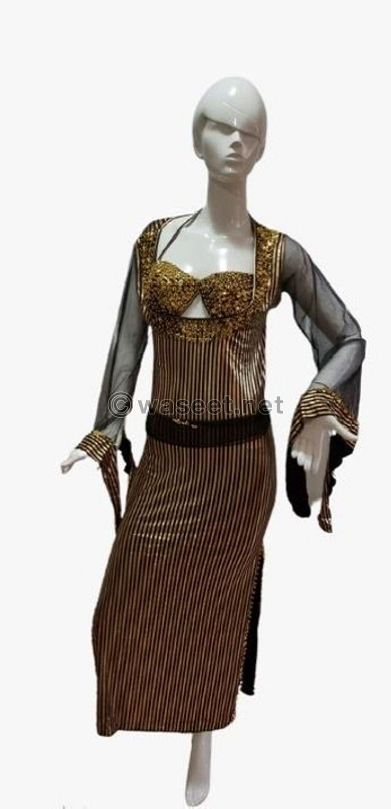 Belly dance costumes  2