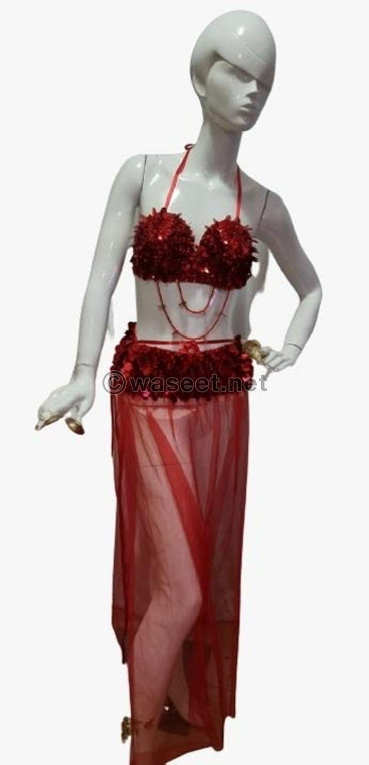 Belly dance costumes  4