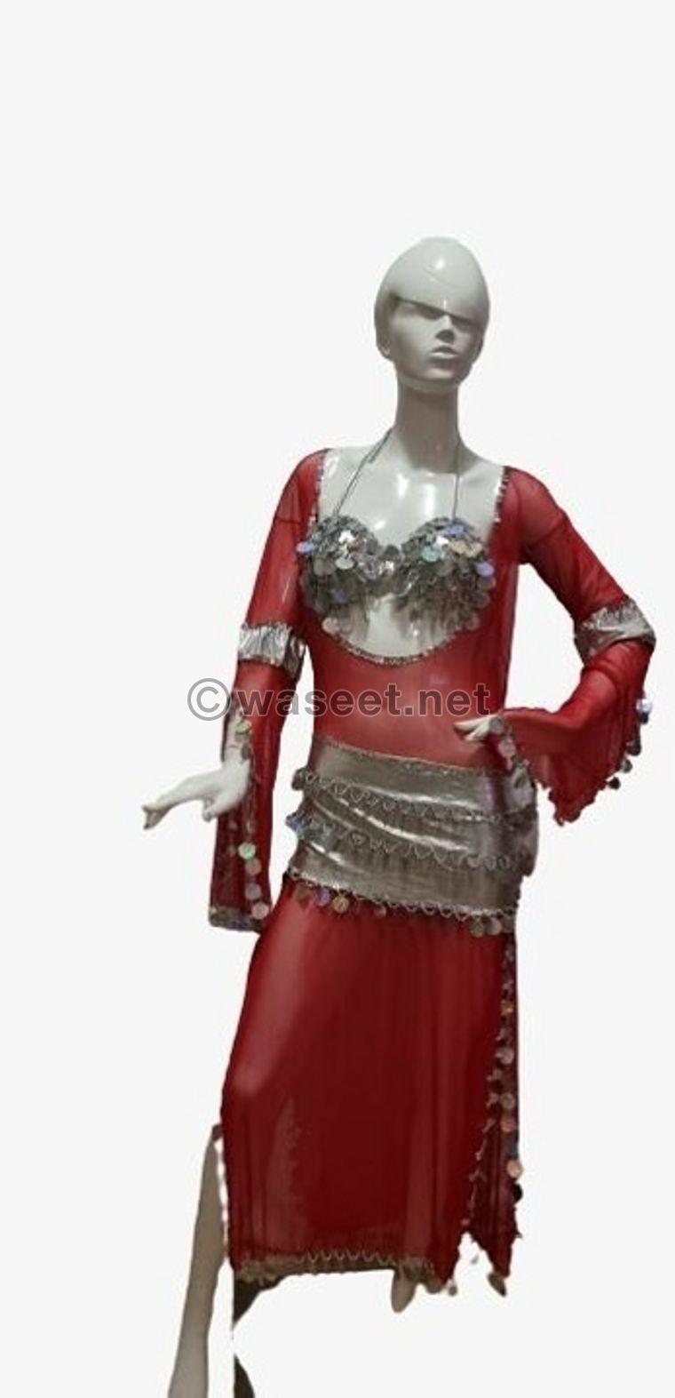 Belly dance costumes  5