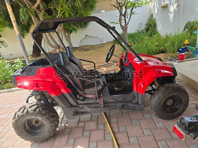 Buggy for sale  2