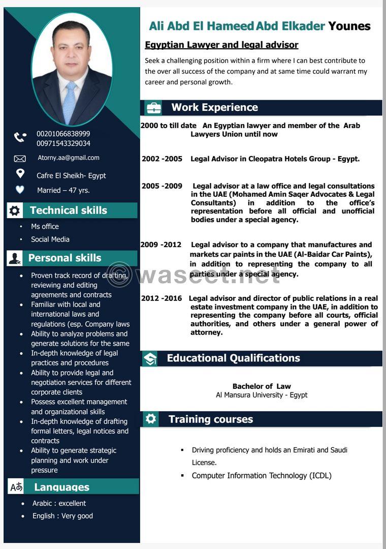 Lawyer looking for work 0