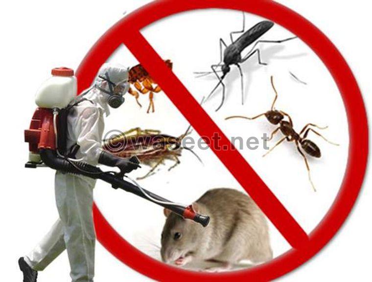 Pest Control Company in Sharjah 1