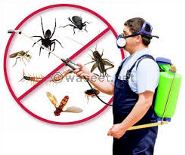 Pest Control Company in Umm Al Quwain 0